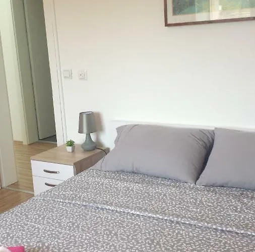 Nina 拉布